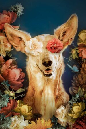 speels-dierenportret-van-een-vrolijke-hond-met-bloemen-op-de-ogen-op-plexiglas-of-dibond